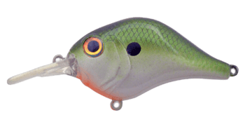 Bill Lewis MR-6 Crankbait