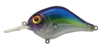 Bill Lewis MR-6 Crankbait