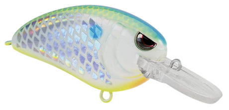 Spro Little John 50 MD Type R Crankbait