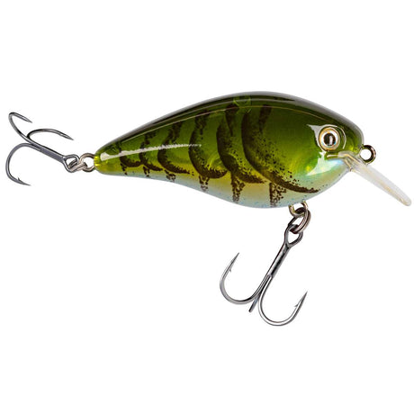 Strike King KVD 1.5 Hard Knock Squarebill Crankbait