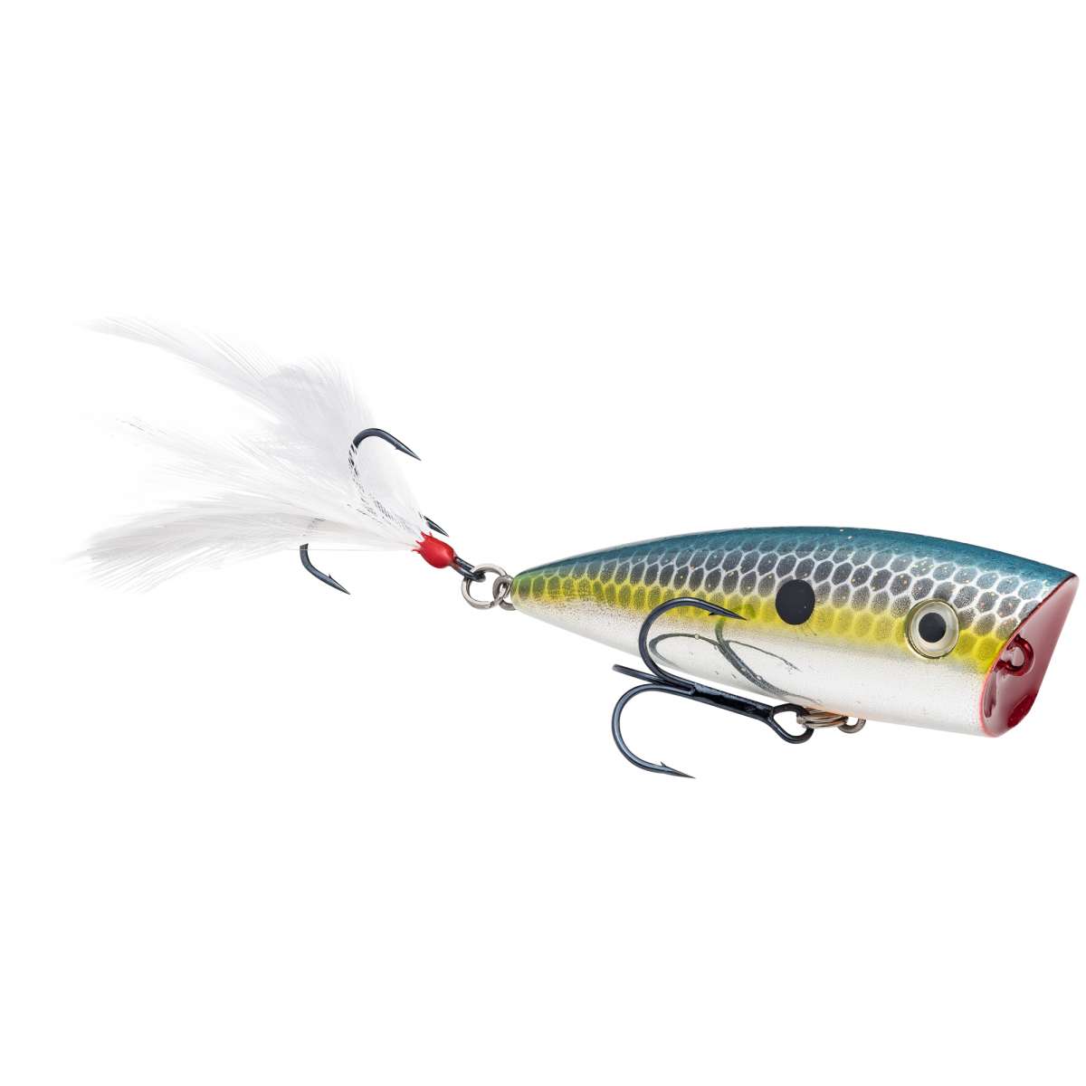 Strike King KVD Splash Popper