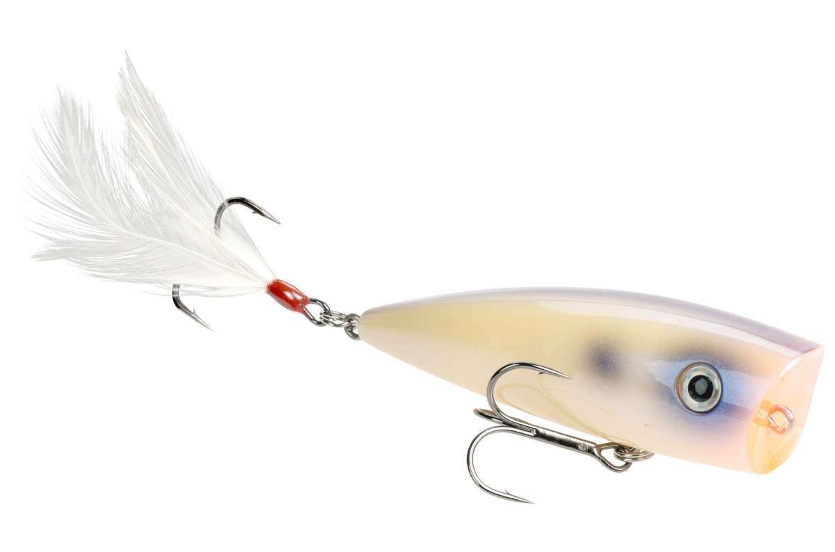 Strike King KVD Splash Popper