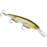 Strike King KVD Jerkbait