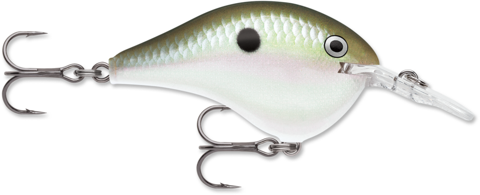 Rapala DT 6 Crankbait – Real Deal Tackle