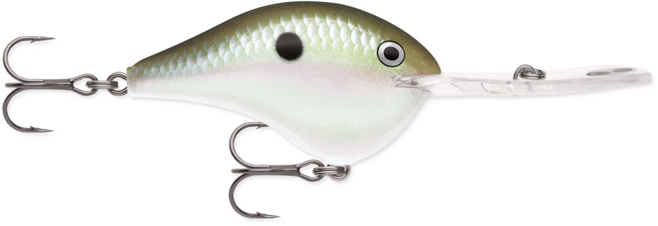 Rapala DT 20 Crankbait