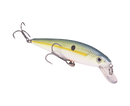 Strike King KVD Jerkbait
