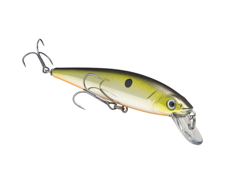 Strike King KVD Jerkbait