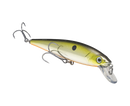 Strike King KVD Jerkbait