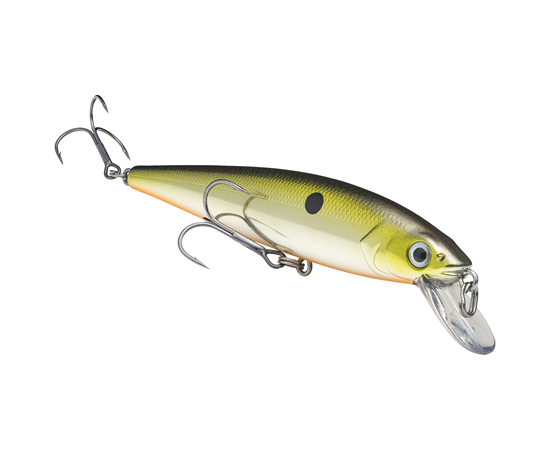 Strike King KVD Jerkbait