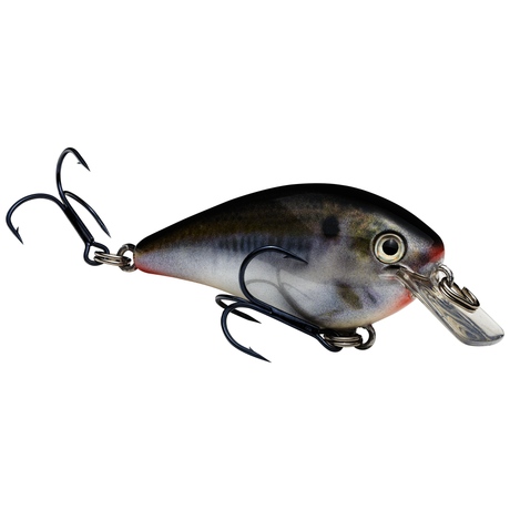 Strike King KVD Squarebill Crankbait 1.5