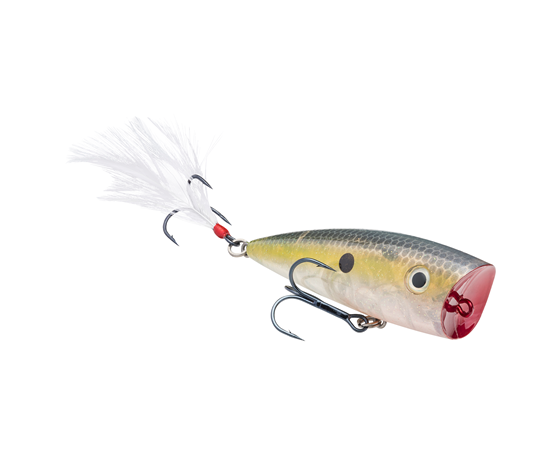 Strike King KVD Splash Popper