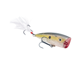Strike King KVD Splash Popper