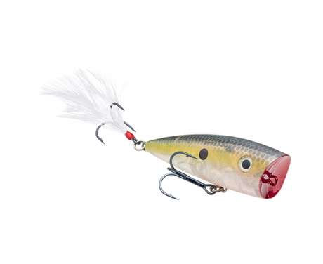 Strike King KVD Splash Popper