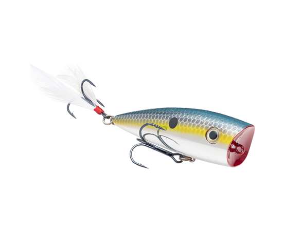 Strike King KVD Splash Popper