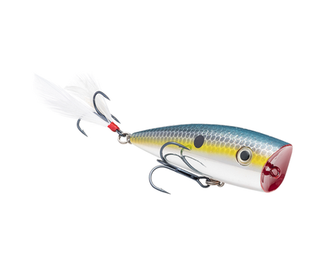 Strike King KVD Splash Popper
