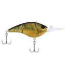 Berkley Frittside 7