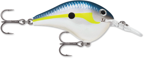 Rapala DT 6 Crankbait