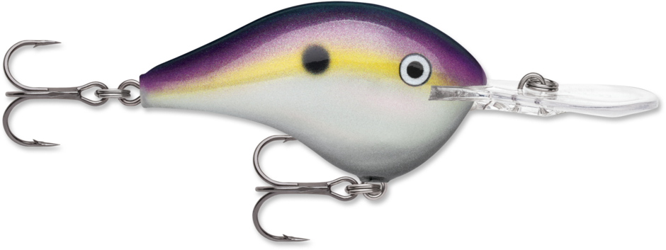 Rapala DT 14 Crankbait