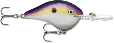 Rapala DT 14 Crankbait