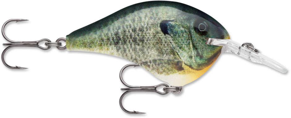 Rapala DT 10 Crankbait