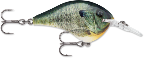 Rapala DT 10 Crankbait