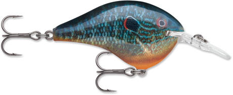 Rapala DT 6 Crankbait