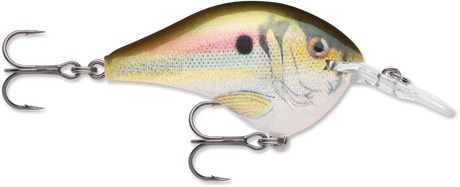 Rapala DT 8 Crankbait