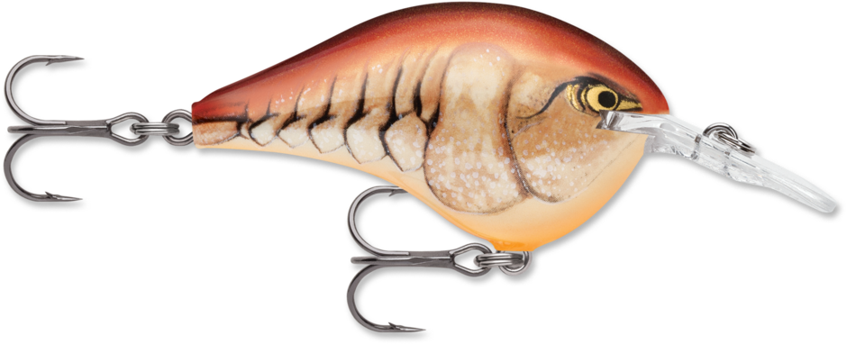 Rapala DT 6 Crankbait