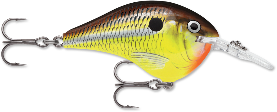 Rapala DT 6 Crankbait