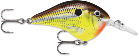 Rapala DT 6 Crankbait