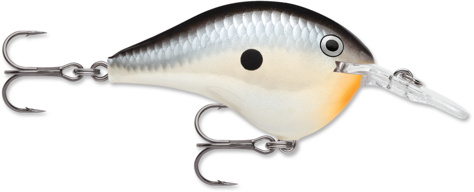 Rapala DT 6 Crankbait