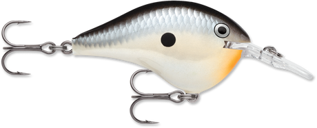 Rapala DT 6 Crankbait