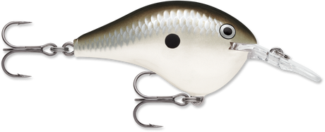 Rapala DT 4 Crankbait