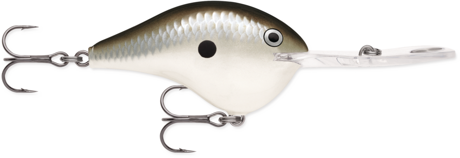 Rapala DT 20 Crankbait