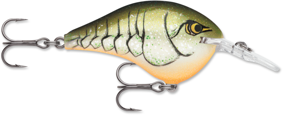 Rapala DT 6 Crankbait