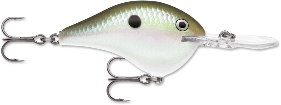 Rapala DT 14 Crankbait