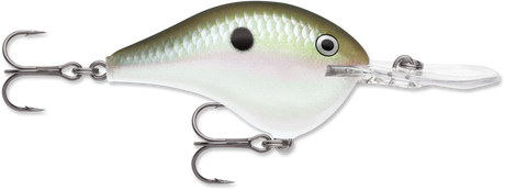 Rapala DT 14 Crankbait