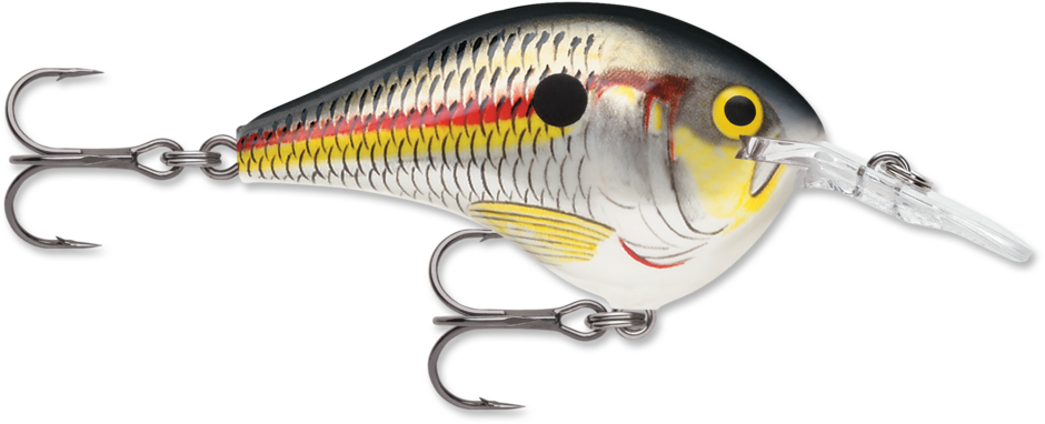 Rapala DT (Dives-To) Series Crankbait, Bluegill
