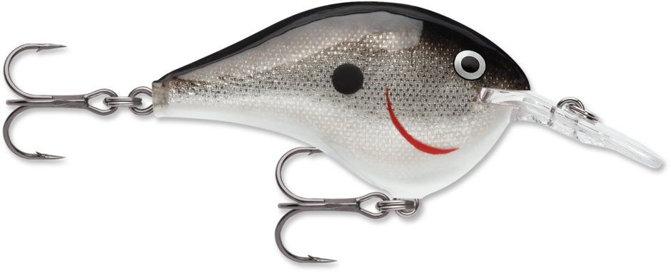 Rapala DT 6 Crankbait