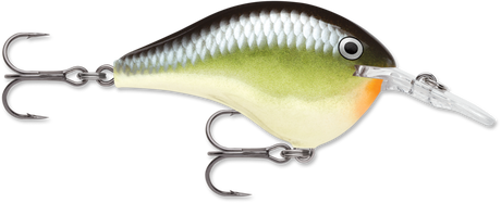 Rapala DT 4 Crankbait