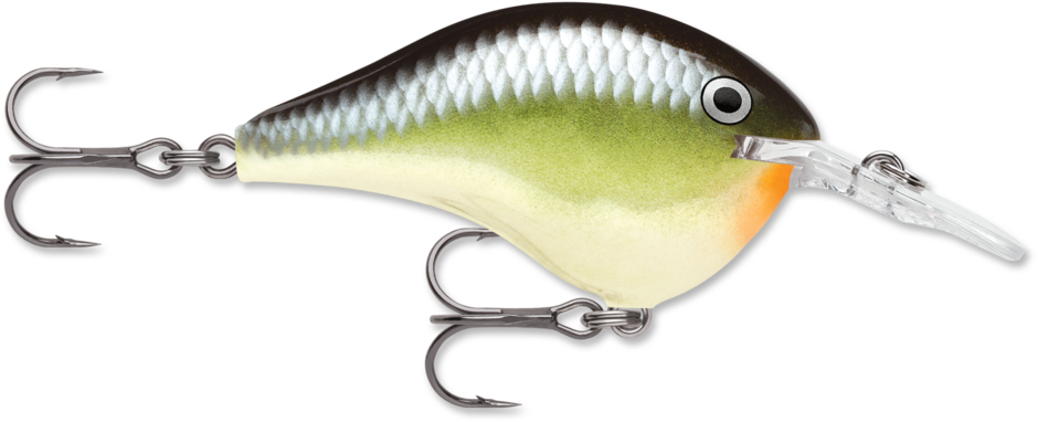 Rapala DT 6 Crankbait