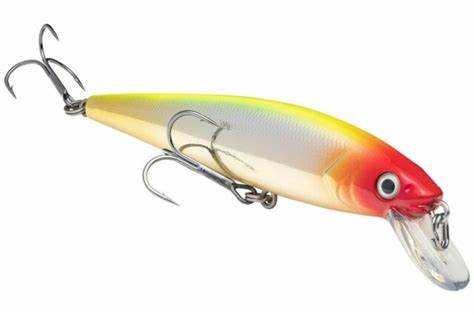 Strike King KVD Jerkbait